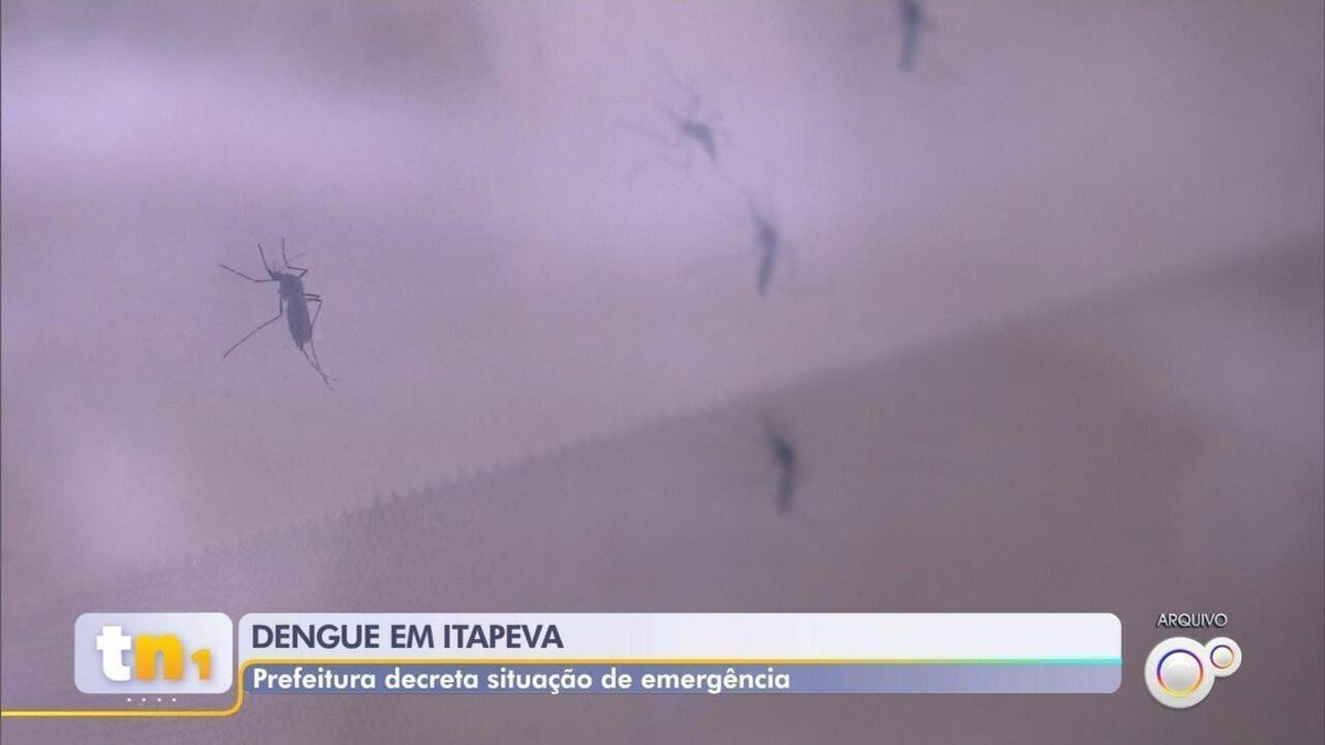 Com alta nos casos de dengue, Itapeva decreta situação de emergência