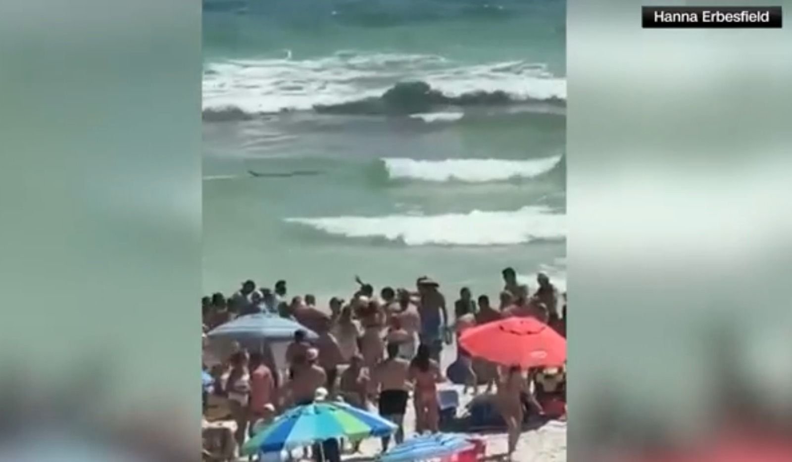 Vídeo: dois ataques de tubarão na Flórida deixam três feridos