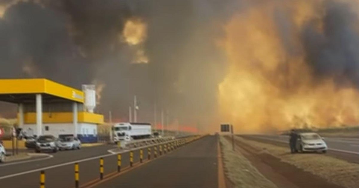 Incêndios em SP: Governo anuncia pacote de medidas para atender produtores afetados