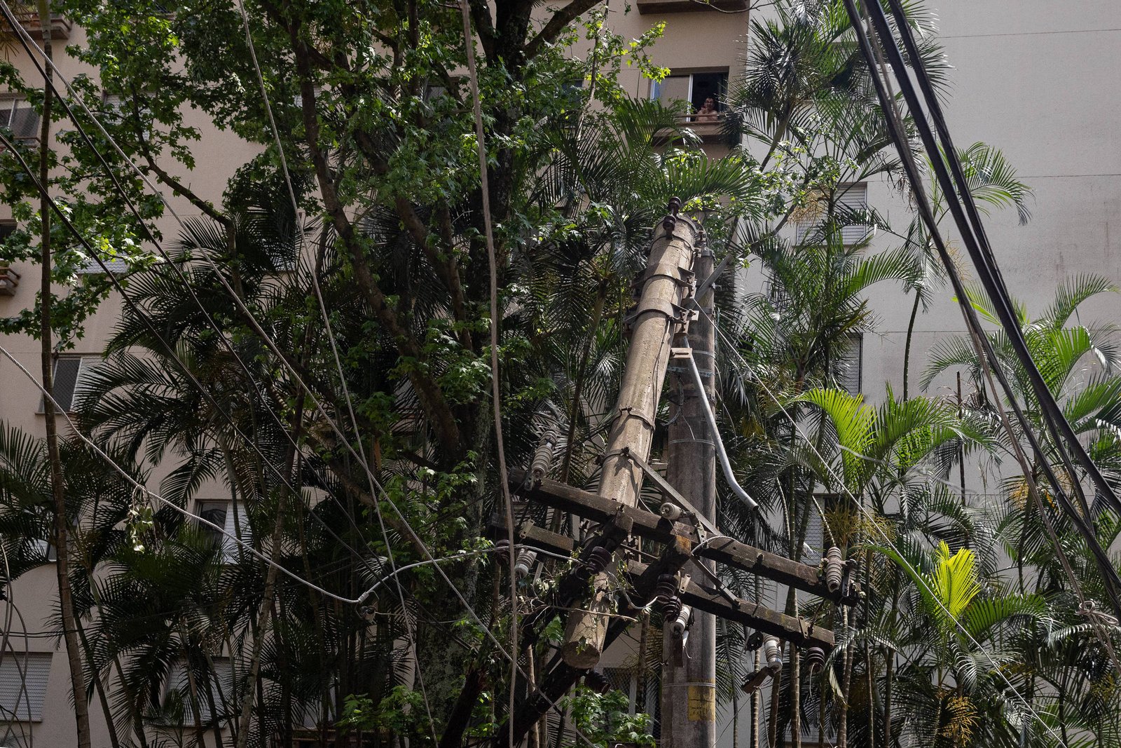 Tempestade em SP: como governo e prefeitura se preparam – 17/10/2024 – Cotidiano