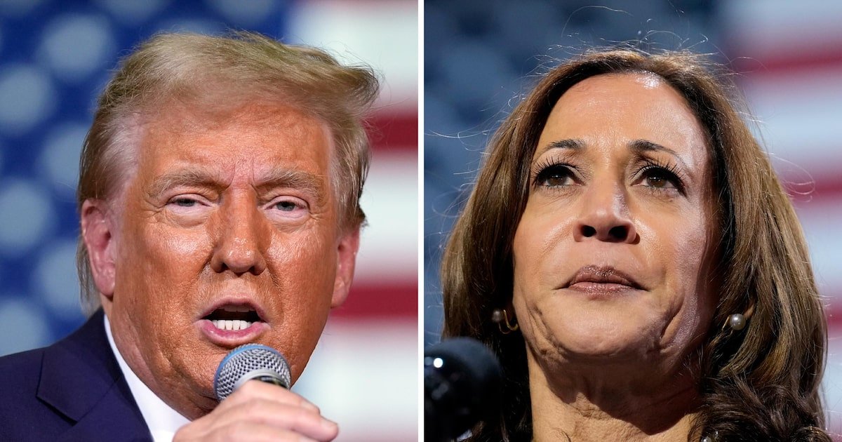 Trump ou Kamala? Estadão percorre EUA para cobertura da eleição presidencial