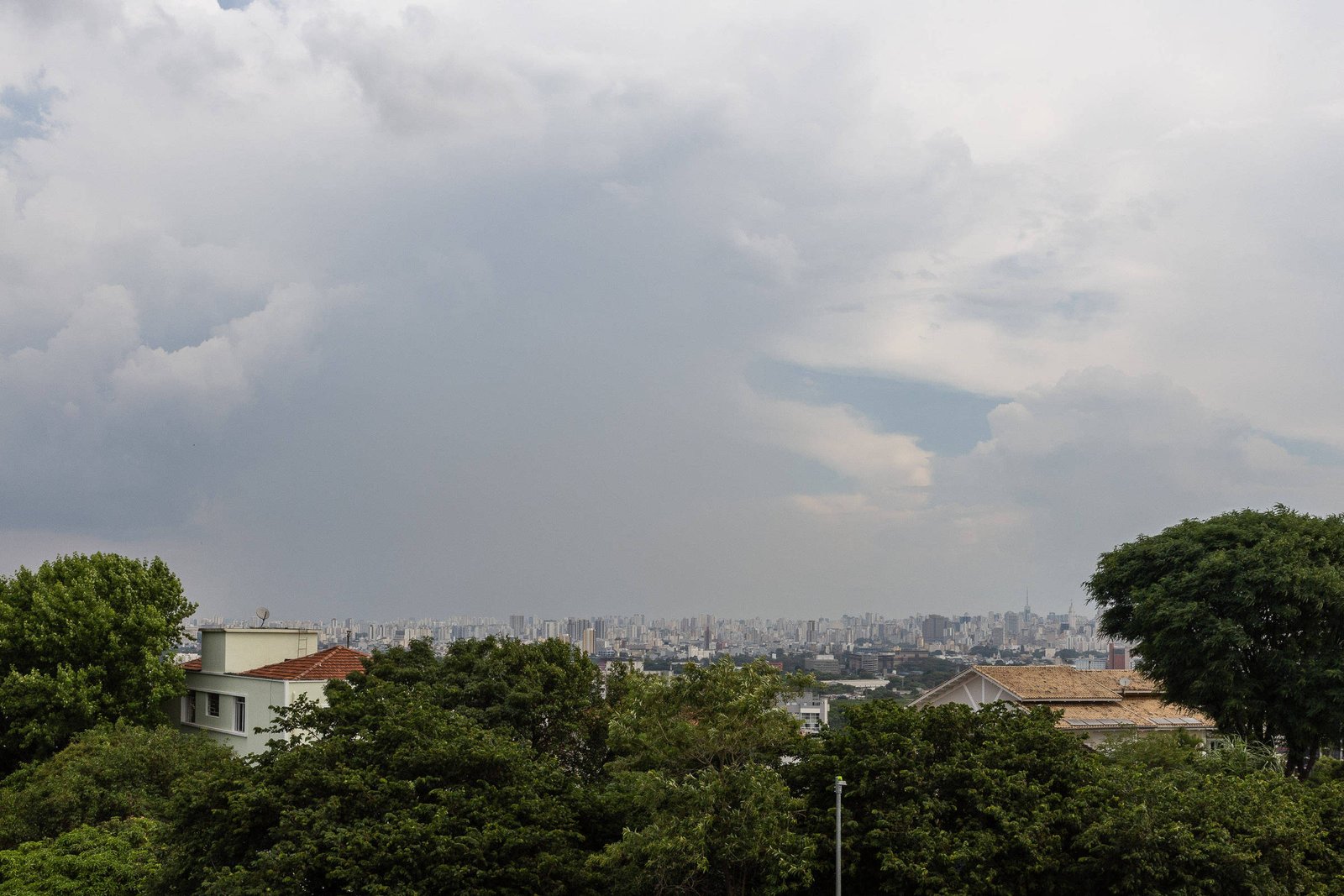 Previsão do tempo: SP deve ter quinta-feira (12) nublada – 12/12/2024 – Cotidiano